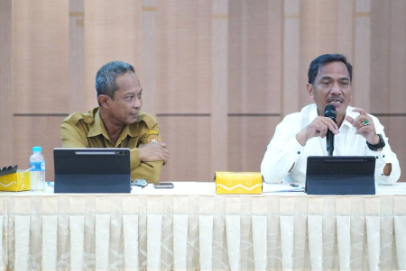 FPD RENCANA STRATEGIS DKISP 2025 - 2029