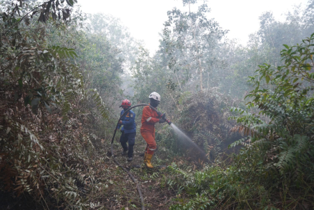 PENDINGINAN AREA TERBAKAR KARHUTLA
