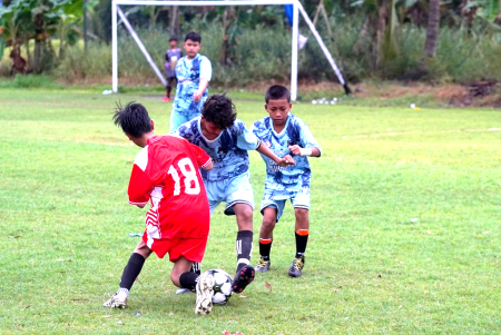 REBUT BOLA