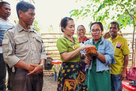 PENYERAHAN BANTUAN AYAM PETELUR