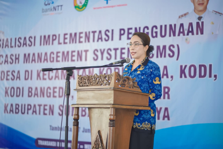 SOSIALISASI CASH MANAGEMENT SYSTEM