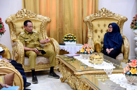DED PENANGANAN BENCANA