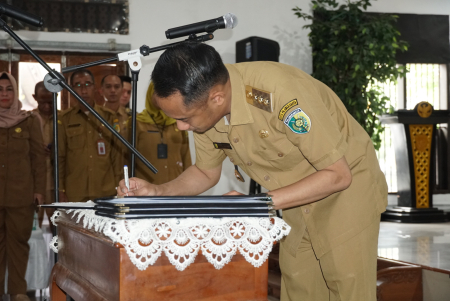 PENGANGKATAN CPNS DAN PPPK PALANGKA RAYA