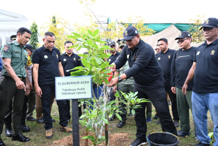 SIRAM POHON  HIJAUKAN ACEH