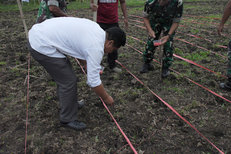 PENANAMAN JAGUNG SERENTAK
