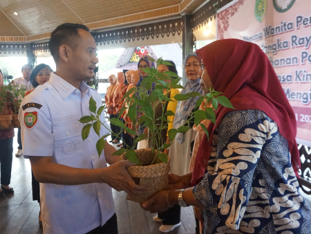 SERAHKAN BIBIT CABAI