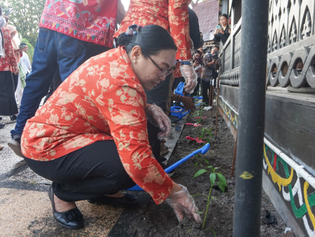 TANAM BIBIT CABAI