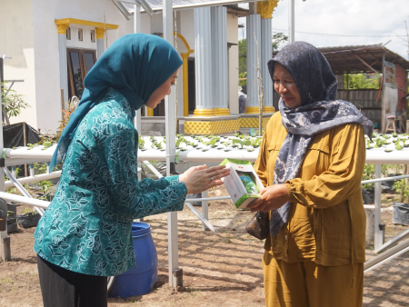 SERAHKAN BANTUAN PAKET HIDROPONIK
