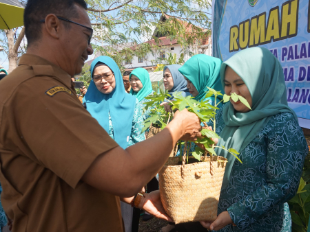 SERAHKAN BIBIT TANAMAN