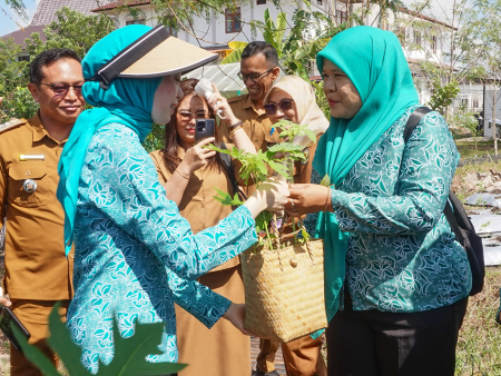 SERAHKAN BIBIT TANAMAN