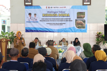 BIMTEK TERNAK DOMBA PERKUAT EKONOMI