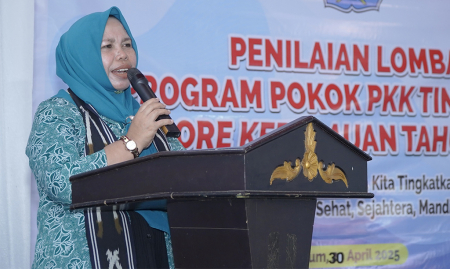 PENILAIAN LOMBA 10 PROGRAM PKK