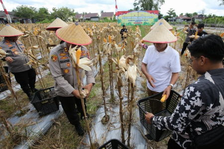 PANEN RAYA JAGUNG POLRI