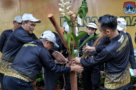 PENANAMAN ANGGREK DI PALANGKA RAYA 