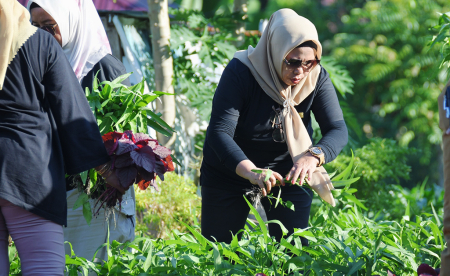 PEMANFAATAN LAHAN PEKARANGAN
