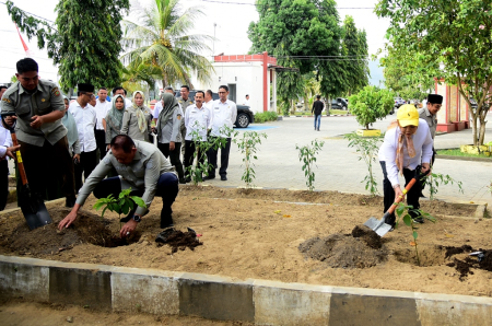 TANAM POHON ALPUKAT