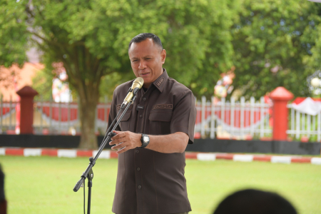 PENYAMBUTAN PASKIBRAKA TINGKAT NASIONAL