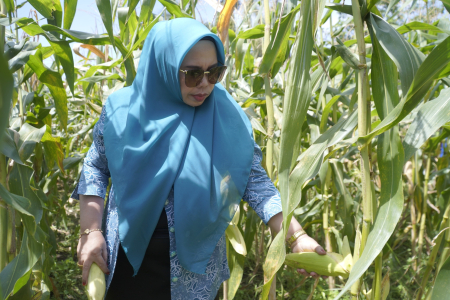 UPAYA MEMENUHI KETAHANAN PANGAN