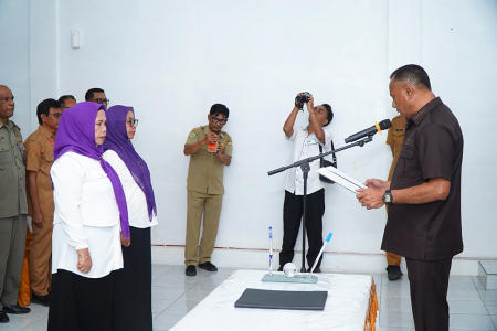 PELANTIKAN KETUA TIM POSYANDU KOTA TIDORE