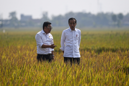 PRESIDEN JOKOWI MENINJAU PANEN PADI DI SUBANG