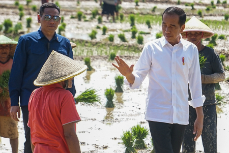 PRESIDEN TINJAU TANAM PADI DI KABUPATEN PEKALONGAN