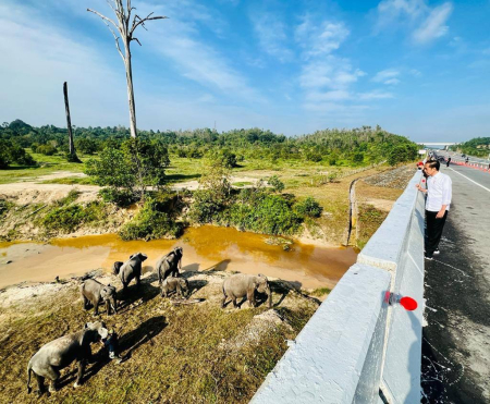 PRESIDEN LIHAT PERLINTASAN GAJAH TOL PEKANBARU-DUMAI