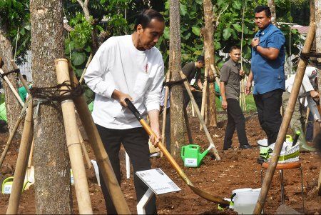 GERAKAN TANAM POHON DI HUTAN KOTA JIEP