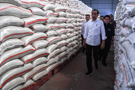PRESIDEN JOKOWI MENINJAU PENYERAHAN BANTUAN PANGAN