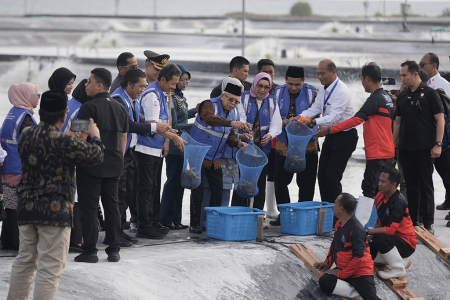 WAPRES PANEN UDANG VANAME DI BUBK KEBUMEN