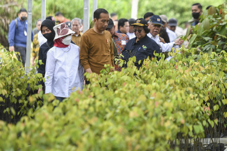 PRESIDEN TINJAU PUSAT PERSEMAIAN MENTAWIR