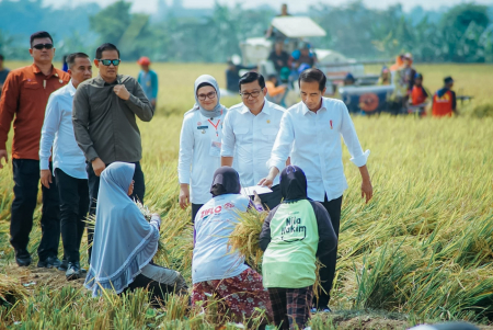 PRESIDEN JOKOWI BAGIKAN BANTUAN UNTUK PETANI