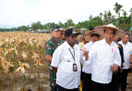 PRESIDEN PANEN JAGUNG DI LUMBUNG PANGAN PAPUA