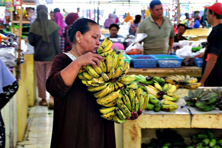ANGKAT BUAH PISANG
