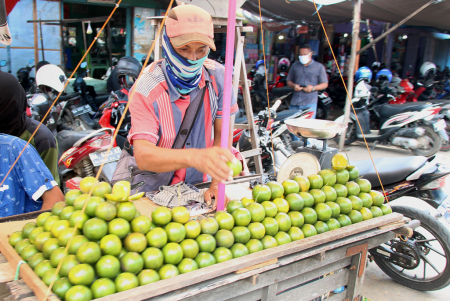 SUSUN BUAH JERUK SUNGAI MADANG