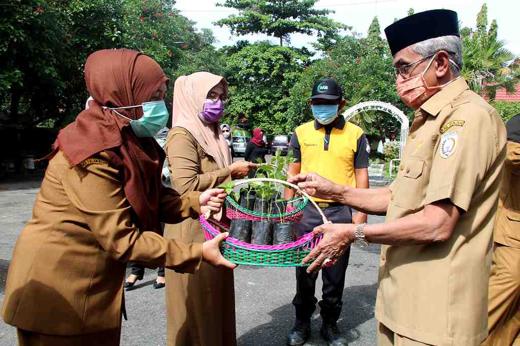 SERAHKAN BIBIT CABAI