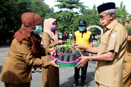 SERAHKAN BIBIT CABAI