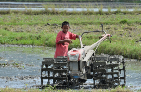 ALIH FUNGSI SAWAH