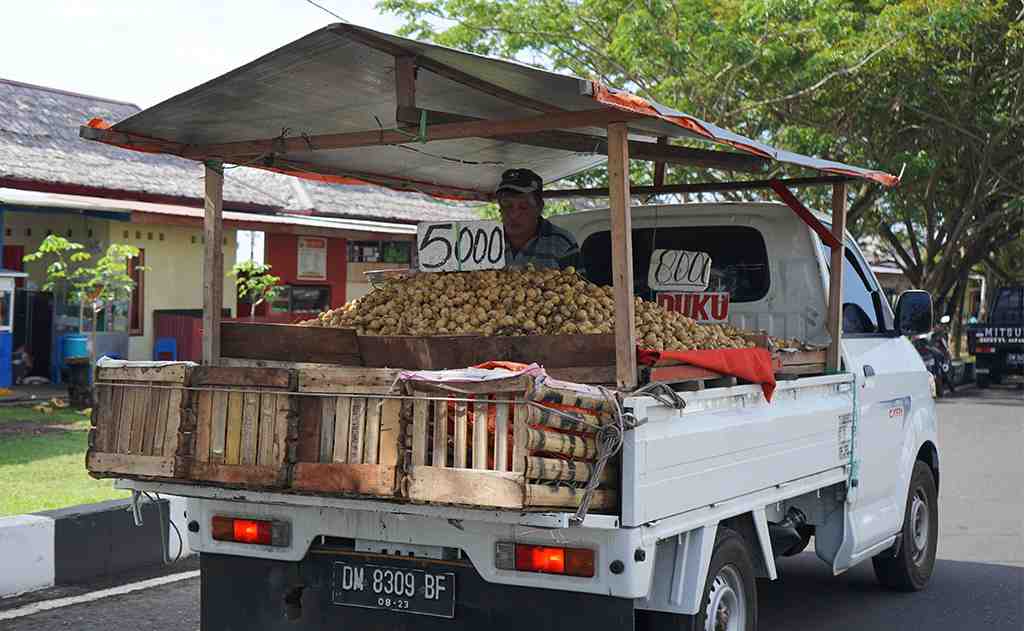 PENJUAL BUAH LANGSAT KELILING
