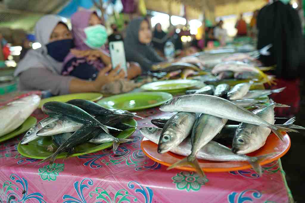 HARGA IKAN NORMAL