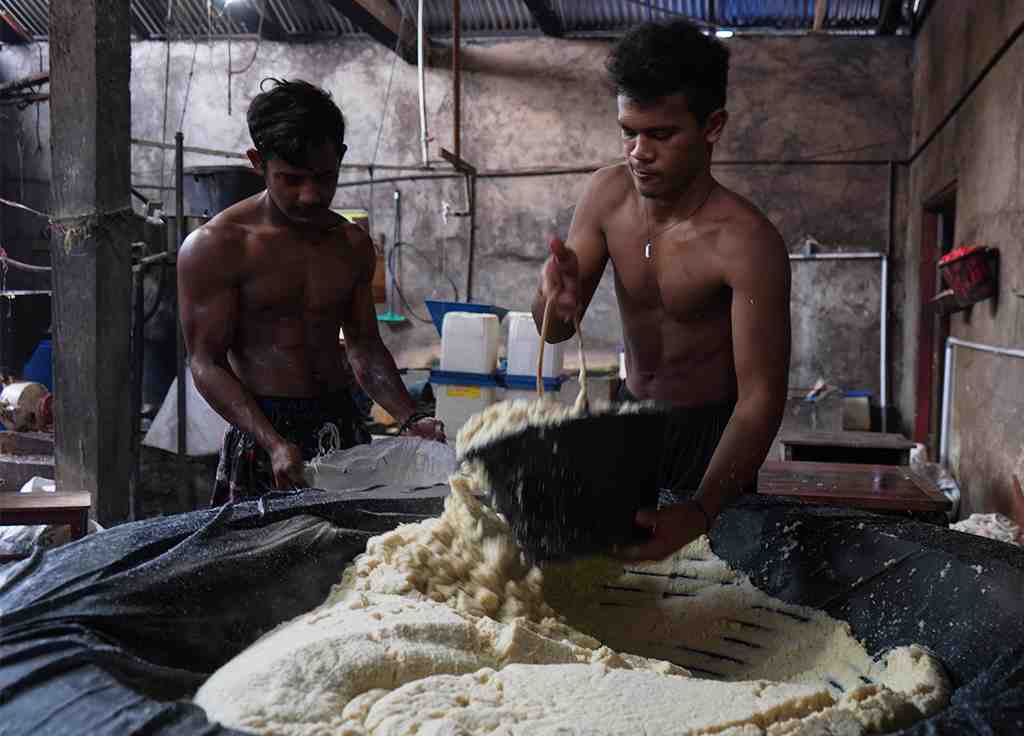 AMPAS KEDELAI UNTUK PAKAN TERNAK