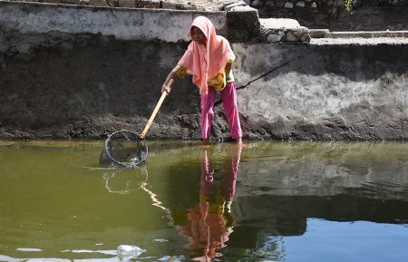 BERSIKAN TAMBAK UDANG