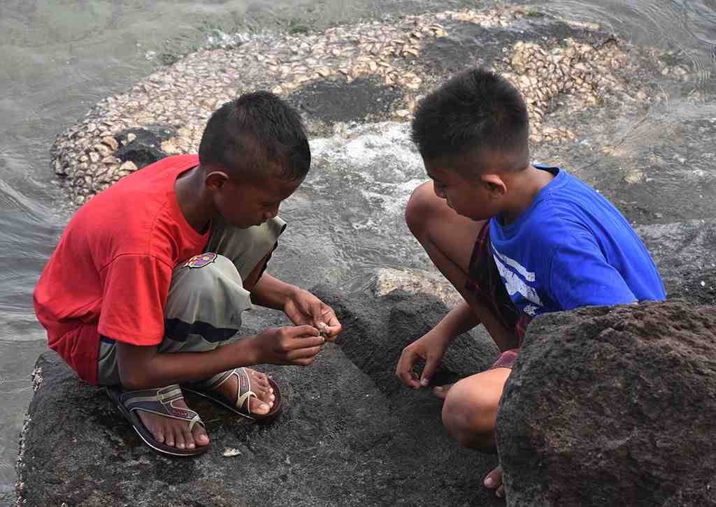 PASANG UMPAN