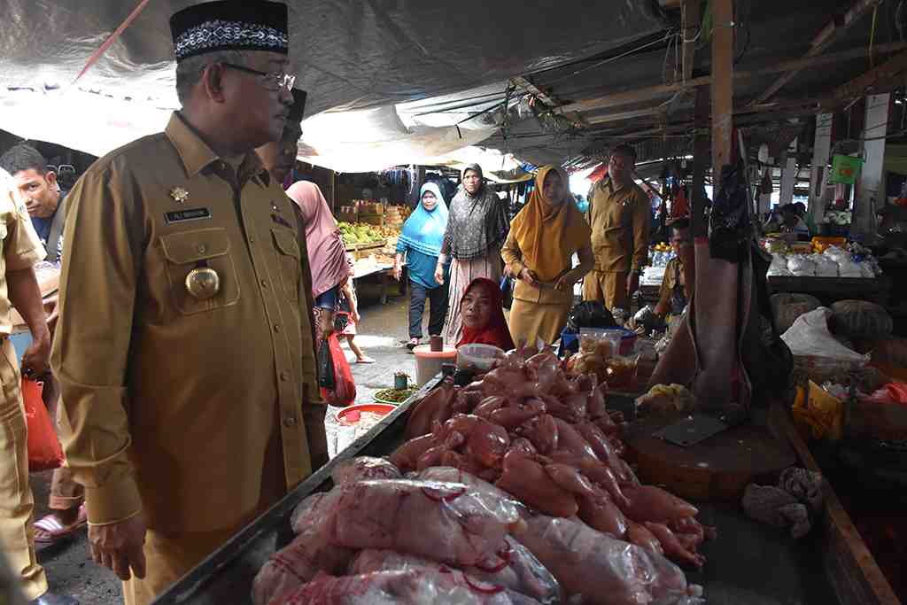 HARGA AYAM BROILER NAIK