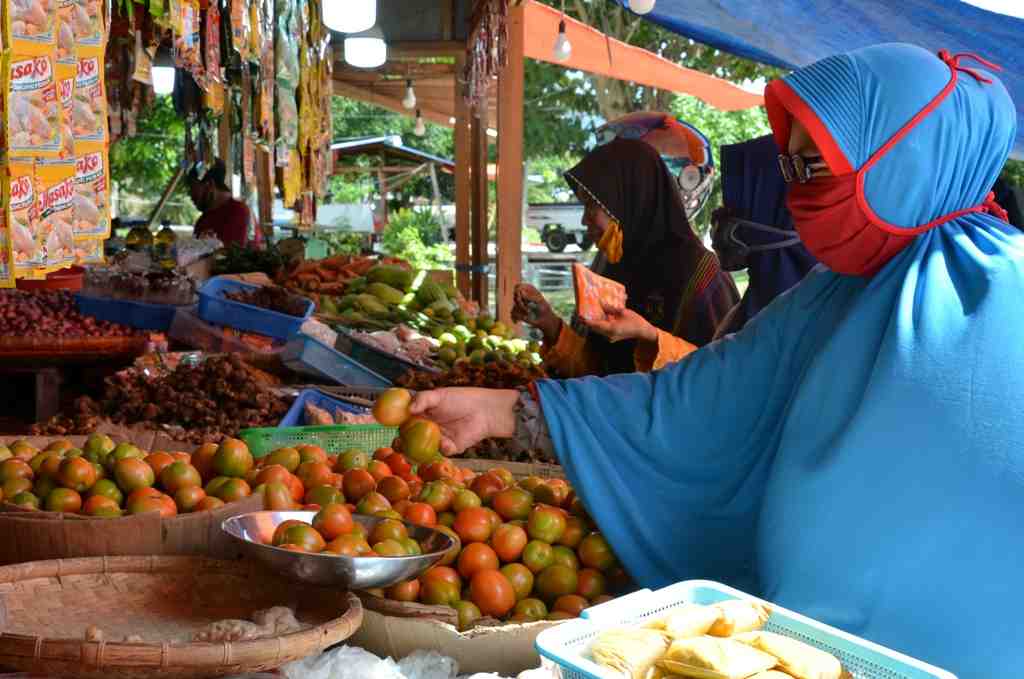 HARGA TOMAT NAIK