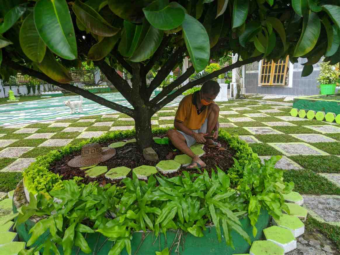 DAUN KERING UNTUK PUPUK ORGANIK