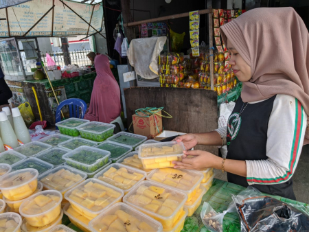 TAPAI ASLI GAMBUT