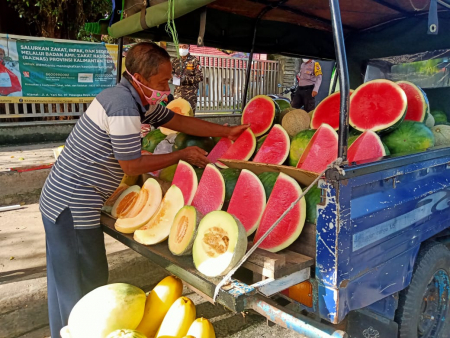 MENATA BUAH SEMANGKA