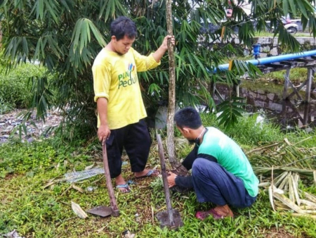 PENANAMAN POHON PENGHIJAUAN