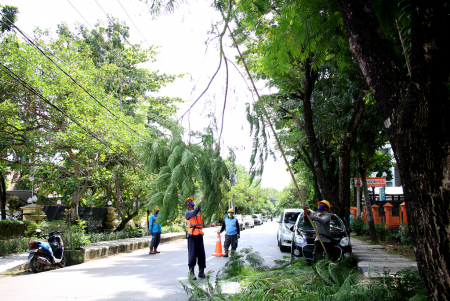 POTONG BATANG POHON YANG HALANGI KABEL