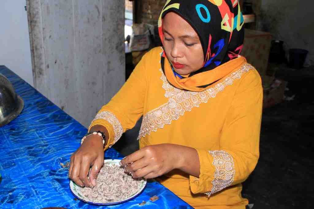 IKAN UNTUK LALAMPA